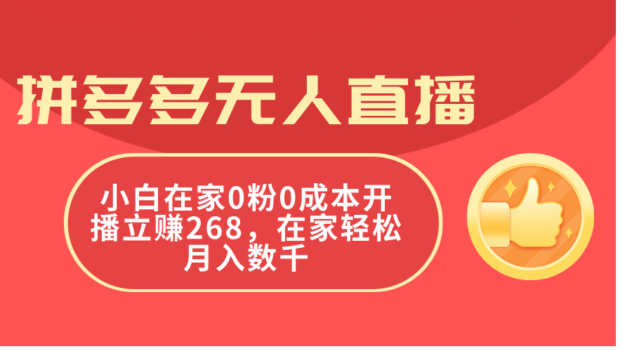 (11521期)拼多多无人直播,小白在家0粉0成本开播立赚268,在家轻松月入数千-聊项目