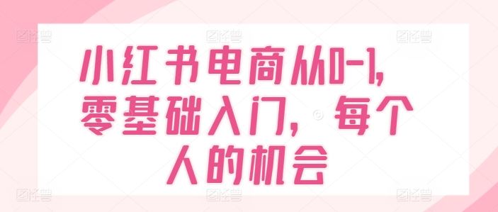 小红书电商从0-1,零基础入门,每个人的机会-聊项目