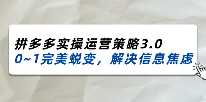 (11658期)2024_2025拼多多实操运营策略3.0,0~1完美蜕变,解决信息焦虑(38节)-聊项目