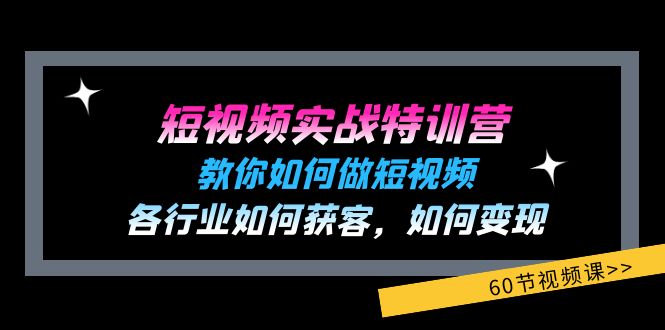 短视频实战特训营:教你如何做短视频,各行业如何获客,如何变现 (60节)-聊项目