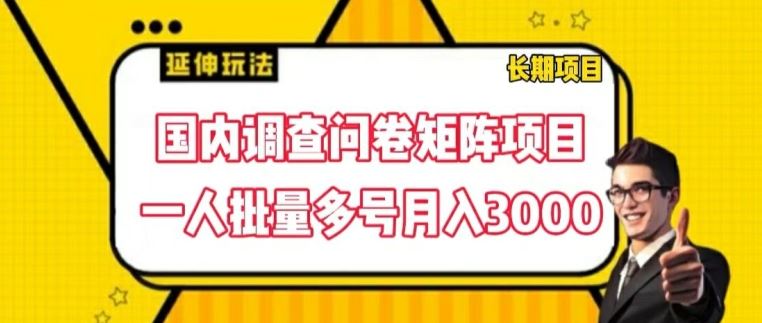国内调查问卷矩阵项目,一人批量多号月入3000【揭秘】-聊项目