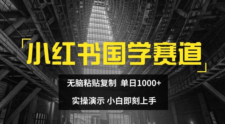 小红书国学赛道，无脑粘贴复制，单日1K，实操演示，小白即刻上手【揭秘】-聊项目