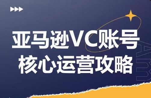 亚马逊VC账号核心玩法解析,实战经验拆解产品模块运营技巧,提升店铺GMV,有效提升运营利润-聊项目