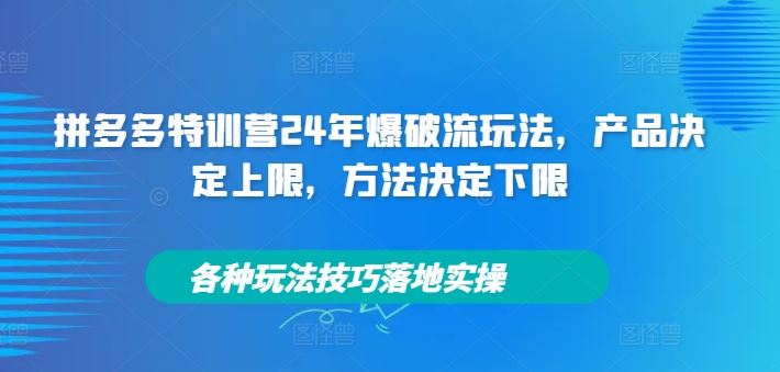 拼多多特训营24年爆破流玩法,产品决定上限,方法决定下限,各种玩法技巧落地实操-聊项目
