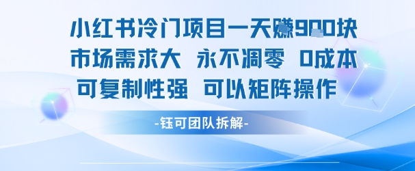 小红书冷门项目一天收益9张，市场需求大，0成本，可复制性强可以矩阵操作-聊项目