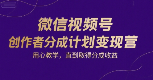 微信视频号创作者分成计划变现营，用心教学，直到取得分成收益-聊项目