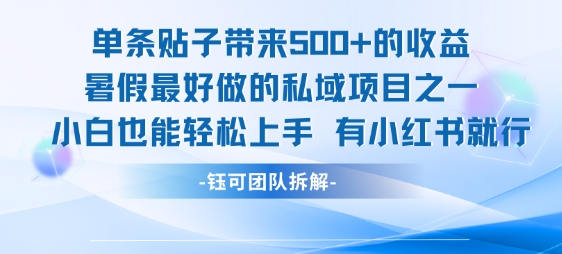 单条贴子带来5张的收益，暑假最好做的私域项目之一，小白也能轻松上手，有小红书就行-聊项目