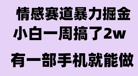 情感暴力掘金项目，新人操作一周挣了2W，长期稳定小白可做【揭秘】-聊项目