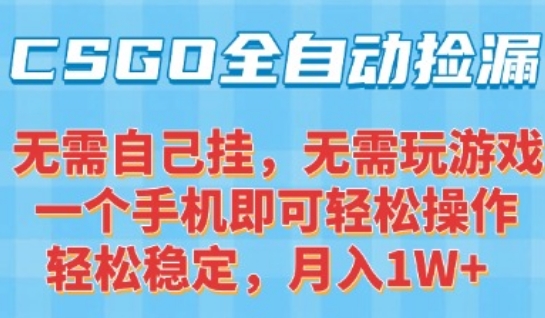 CSGO自动捡漏项目，最新独家玩法，一个手机可操作，新手小白轻松月入1W+，操作简单易上手【揭秘】-聊项目