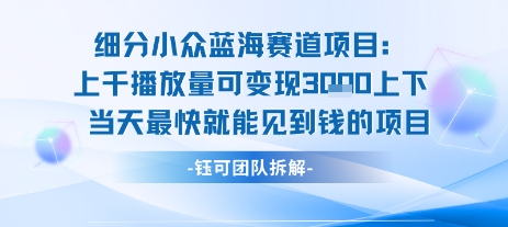 小众蓝海赛道项目：当天变现1k+适合新手操作 +适合长期玩-聊项目