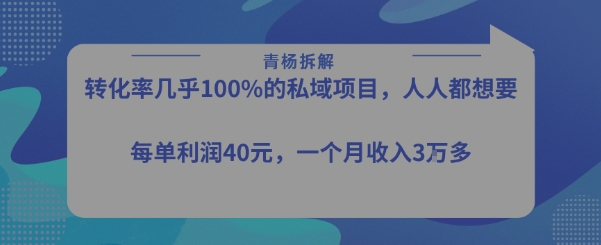 转化率最高的私域项目，每单利润40-50米，月入过1w-聊项目