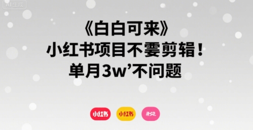小白可来 小红书项目不需要剪辑 单月3w不是问题-聊项目