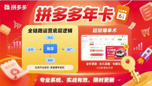 拼多多年卡【8月更新6节】拼多多全链路运营底层逻辑，超级爆单术-聊项目