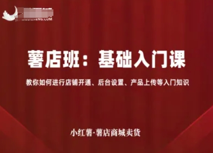 小红薯薯店商城卖货，基础入门课，教你如何进行店铺开通、后台设置、产品上传等入门知识-聊项目