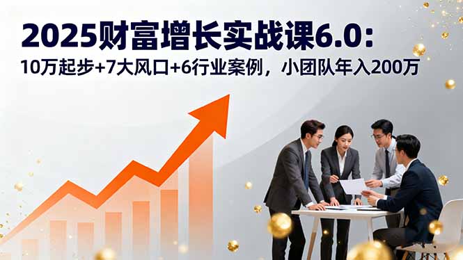 2025财富增长实战课6.0：10万起步+7大风口+6行业案例，小团队年入200万-聊项目