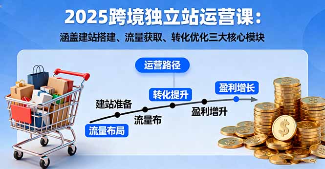2025跨境独立站运营课：涵盖建站搭建、流量获取、转化优化三大核心模块-聊项目