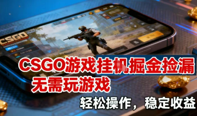 CSGO游戏挂G掘金捡漏，不需要玩游戏，操作简单，收益稳定【揭秘】-聊项目