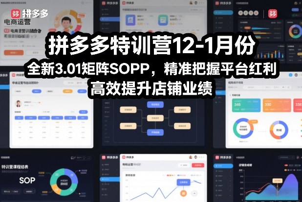 拼多多特训营12-1月份，全新3.01矩阵Sop，精准把握平台红利，高效提升店铺业绩-聊项目