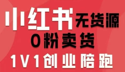 小红书无货源0粉电商课，开店准备、选品策略、笔记撰写、视频剪辑、数据分析、账号打造、资料文档(更新26年2月)-聊项目