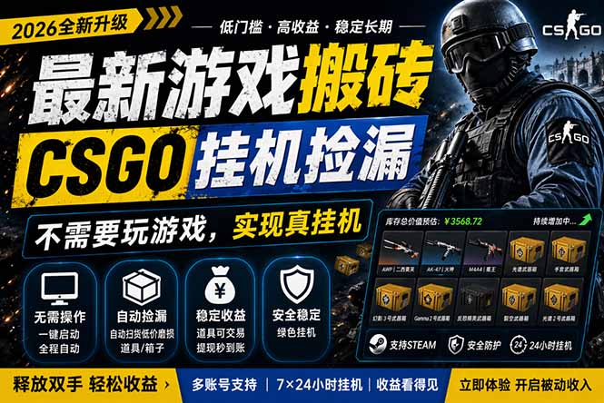 最新游戏搬砖，CSGO纯挂机，不需要玩游戏，实现真挂机，月入1W+，五一小高峰上车可吃肉，…-聊项目