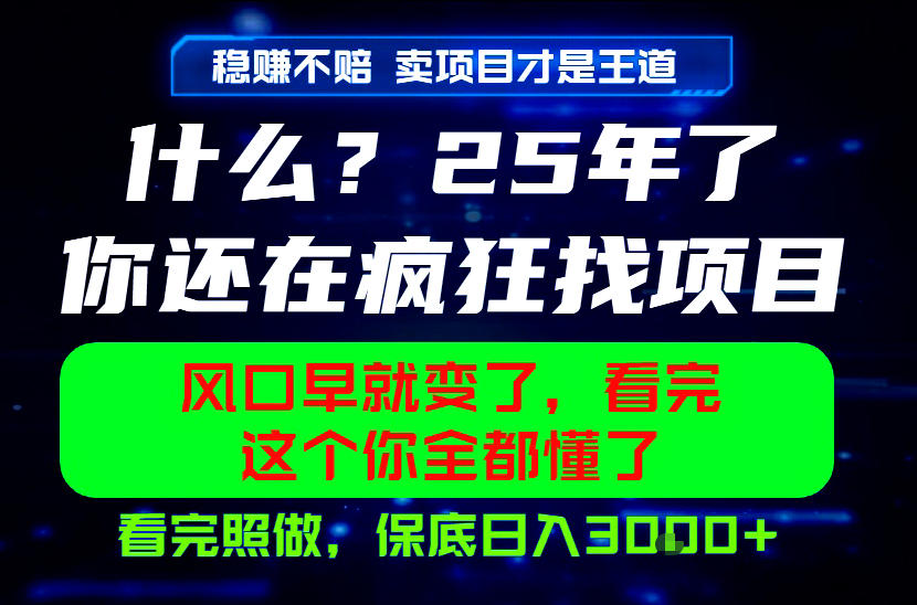 26年，请不要疯狂的找项目做了！卖项目才是真的稳賺不赔，看完照做，保底日入1k+【揭秘】-聊项目