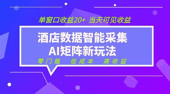 2026酒店数据采集ai智能矩阵新风口 低成本 高收益 当天见收益 单窗口20+-聊项目