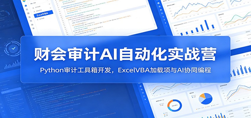财会审计AI自动化实战营：Python审计工具箱开发，ExcelVBA加载项与AI协同编程-聊项目