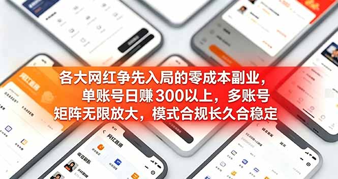 各大网红争先入局的零成本副业，单账号日赚 300 以上，多号矩阵可放大，模式合规长久稳定！-聊项目