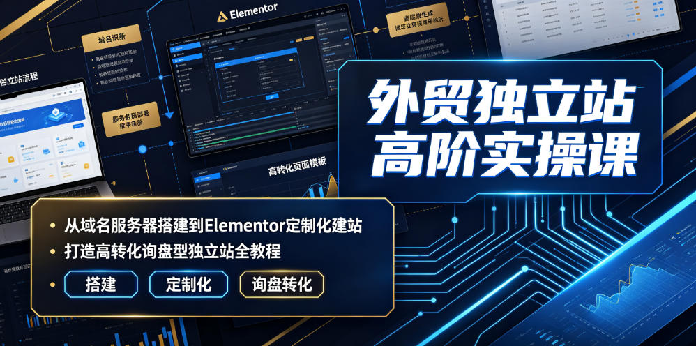 外贸独立站高阶实操课｜从域名服务器搭建到Elementor定制化建站，打造高转化询盘型独立站全教程-聊项目