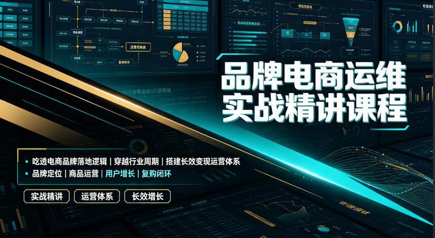 品牌电商运维实战精讲课程｜吃透电商品牌落地逻辑、穿越行业周期、搭建长效变现运营体系-聊项目