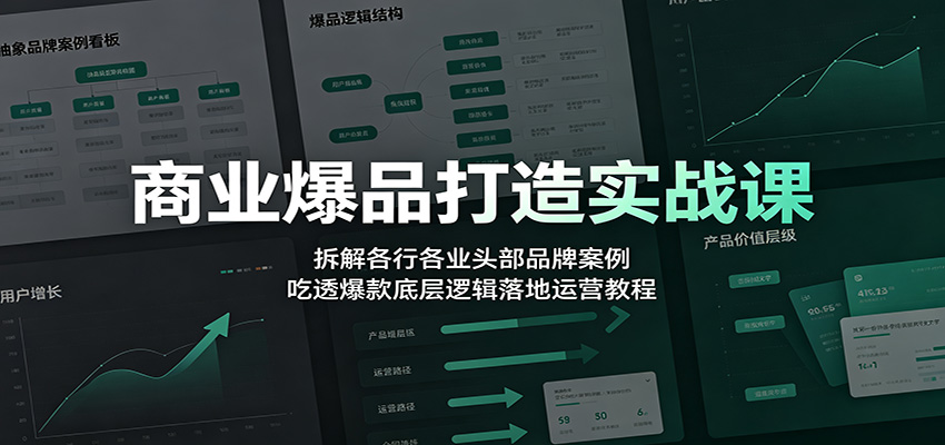 商业爆品打造实战课：拆解各行各业头部品牌案例，吃透爆款底层逻辑落地运营教程-聊项目
