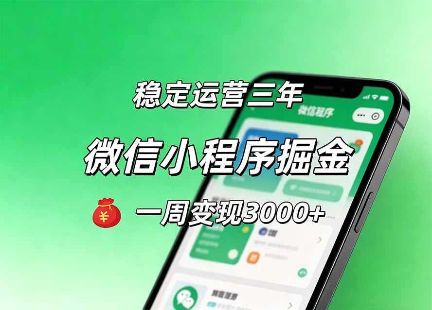 月收益稳定1W+的微信小程序，前期积累客户，后期躺平养老，小白轻松上手-聊项目