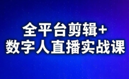 视频号、快手、抖音全平台剪辑+数字人直播实战课(更新)​-聊项目