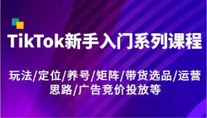TikTok新手入门系列课程,玩法/定位/养号/矩阵/带货选品/运营思路/广告竞价投放等-聊项目