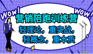 营销陪跑训练营,轻理论,重实战,轻概念,重本质,适合中小企业和初创企业的老板-聊项目