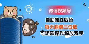 (11910期)微信视频号自助独立后台每天躺赚三位数可矩阵操作解放双手-聊项目