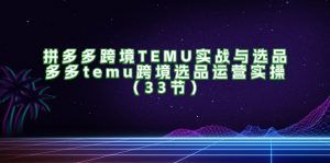 (11934期)拼多多跨境TEMU实战与选品,多多temu跨境选品运营实操(33节)-聊项目
