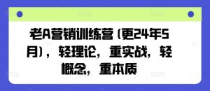 老A营销训练营(更24年7月)，轻理论，重实战，轻概念，重本质-聊项目