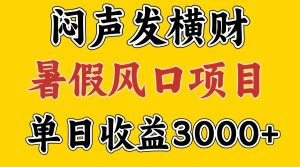 30天赚了7.5W 暑假风口项目，比较好学，2天左右上手-聊项目