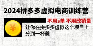 (12024期)2024拼多多虚拟电商训练营 不s单 不改销量 做虚拟项目分一杯羹(更新10节)-聊项目
