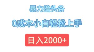 （12068期）暴力撸头条，0成本小白轻松上手，日入2000+-聊项目