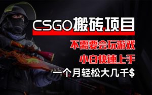 (12332期)CSGO 装备搬砖项目,操作简单,不需要会玩游戏,小白也能快速上手,一…-聊项目