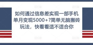 如何通过信息差实现一部手机单月变现5000+?简单无脑搬砖玩法,快看看适不适合你【揭秘】-聊项目