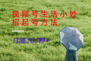视频号生活小妙招分享赛道, 起号涨粉新方法,日涨100粉-聊项目