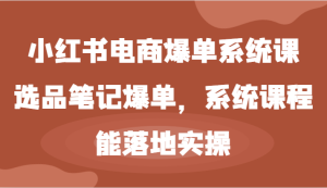 小红书电商爆单系统课-选品笔记爆单,系统课程,能落地实操-聊项目