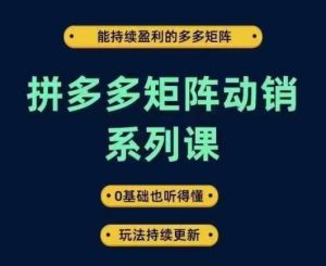 拼多多矩阵动销系列课,能持续盈利的多多矩阵,0基础也听得懂,玩法持续更新-聊项目