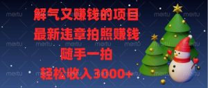 (13686期)解气又赚钱的项目,最新违章拍照赚钱,随手一拍,轻松收入3000+-聊项目
