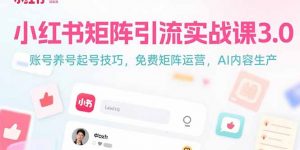 小红书矩阵引流实战课3.0:账号养号起号技巧,免裴矩阵运营,AI内容生产-聊项目