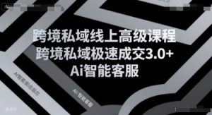 跨境私域线上高级课程,跨境私域极速成交3.0+Ai智能客服-聊项目