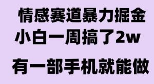 情感暴力掘金项目，新人操作一周挣了2W，长期稳定小白可做【揭秘】-聊项目